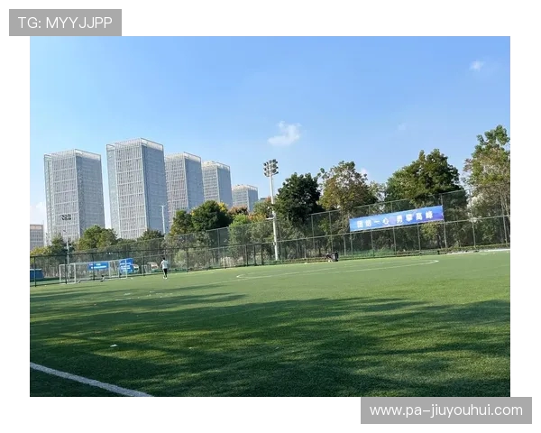 围绕新湖花千树足球场电话全面探索周边生活服务与设施指南实用篇